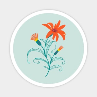 Illustrated orange wildflower Magnet